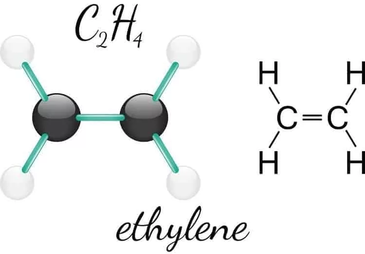 Khí ethylene - thông tin và những cảnh báo quan trọng khi dùng