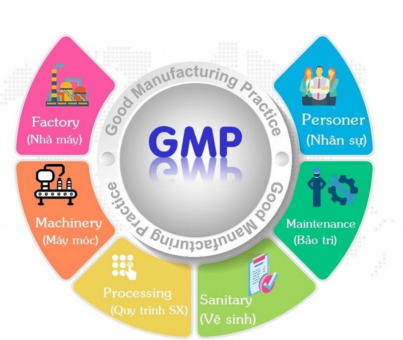 Khám phá GMP và các quy chuẩn GMP WHO trong sản xuất thuốc