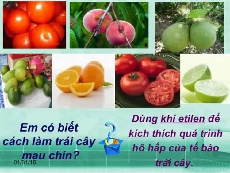 Đa dạng ứng dụng của etilen (etylen) cho hiệu suất cao