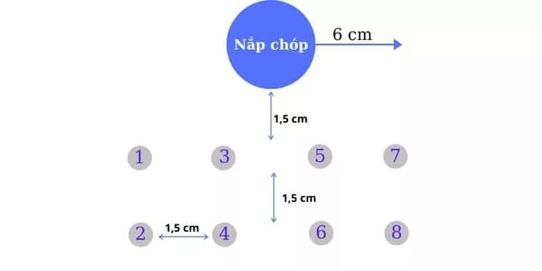 Tăng năng suất cạo mủ cao su bằng cách sử dụng khí Ethylene