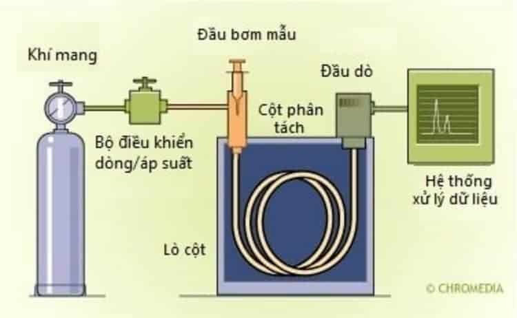 Các Phương Pháp Sắc Ký Khí, Trao Đổi Ion và Lỏng