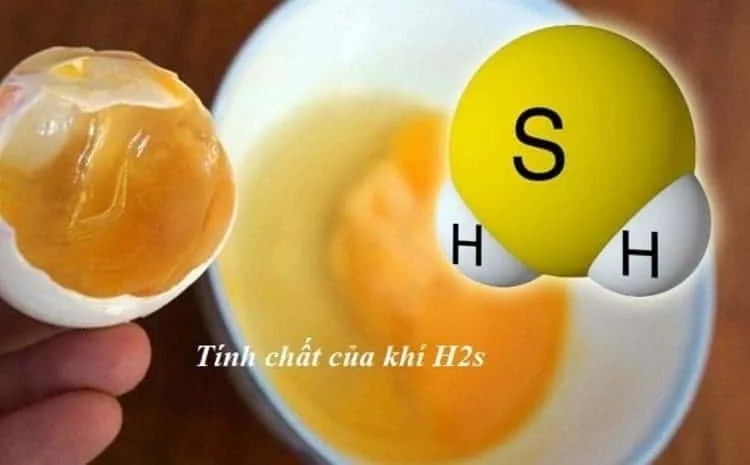 Tác động tiêu cực của khí H2S và phương pháp nhận biết